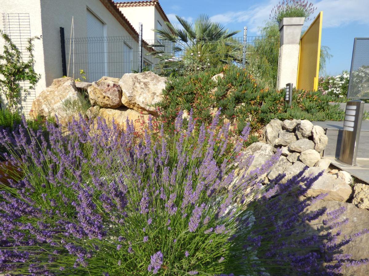La Villa Du Saule Salles-d'Aude Luaran gambar